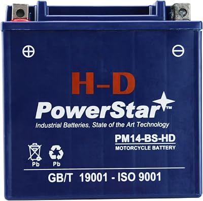 PowerStar H-D YTX14-BS Motorcycle Battery Compatible with Vespa GTS 300 Super Sport SE 2013 to 2014