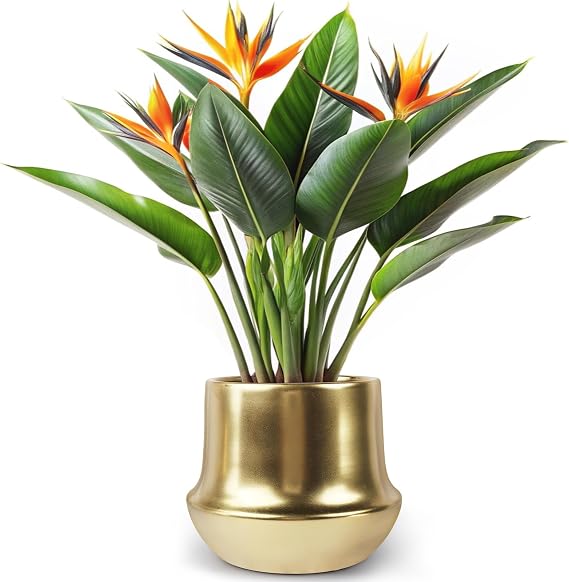 Gold Planter Pot Indoor Ceramic Flower Pots Modern Decorative Large Plant Pot 7.1 inch Gold Brass Planter for All House Plants,Succulents,Flowers and Cactus