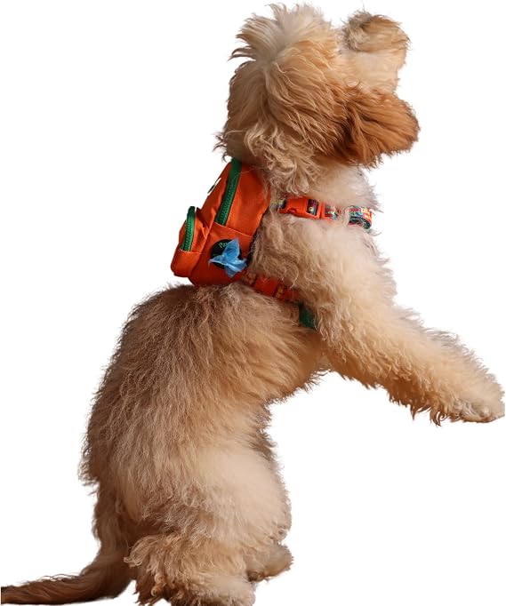 Design, Turuncu, Çantalı Göğüs Tasması, Köpek Sırt Çantası – 2’si 1 Arada Göğüs Tasması Fonksiyonlu, Ayarlanabilir, Küçük & Büyük Irklar için, Small