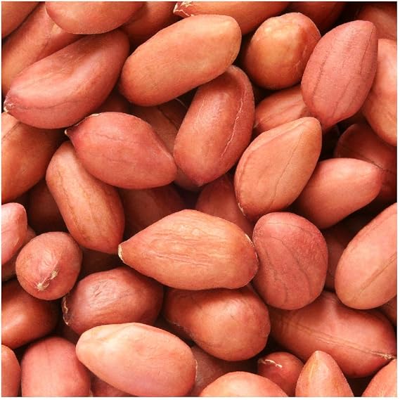 Everwilde Farms 1/4 Lb Virginia Jumbo Peanut Seeds - Gold Vault Bulk