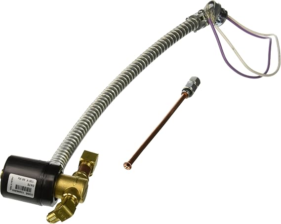 Beckett 5670 Solenoid Valve Complete