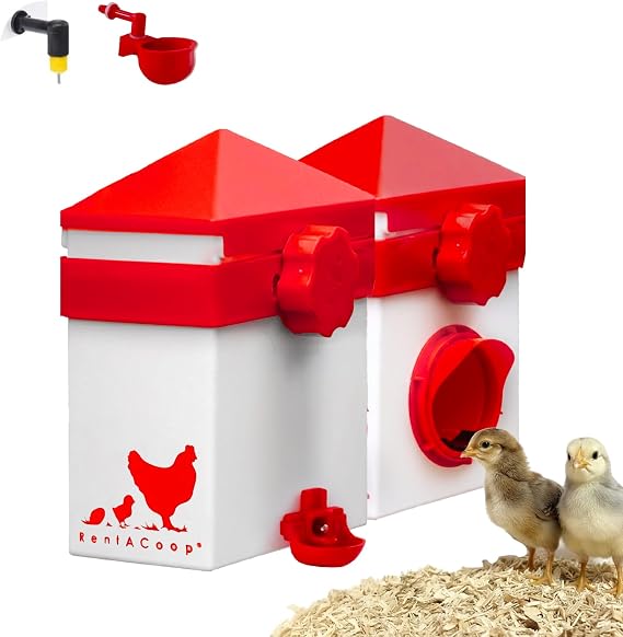 RentACoop Chick2Chicken 2.5lb Medium Port Feeder and 64oz Drinker Set