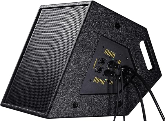 BASSBOSS CCM12-MK3 12" Coaxial Monitor