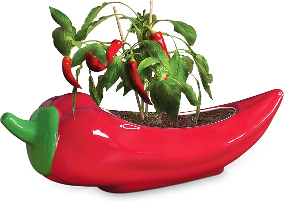 Red Hot Chili Planter – Glazed Ceramic Chili Pepper Plant Pot for Indoor Gardening – Fun & Spicy Gift for Plant Parents and Chili Lovers – Unique Indoor Planter for Herbs, Houseplants & Peppers