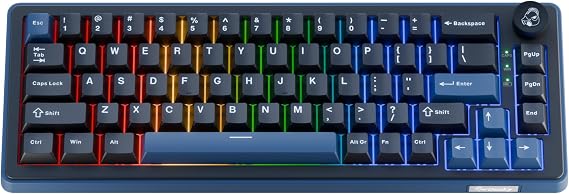 Ducky OK-M - 65% Wireless Mechanical Gaming Keyboard : Gasket-Mount Design, Hot-Swappable Switches, Five-Layer Acoustic Dampening, RGB, USB-C, 2.4Ghz, Bluetooth, Baby Switch