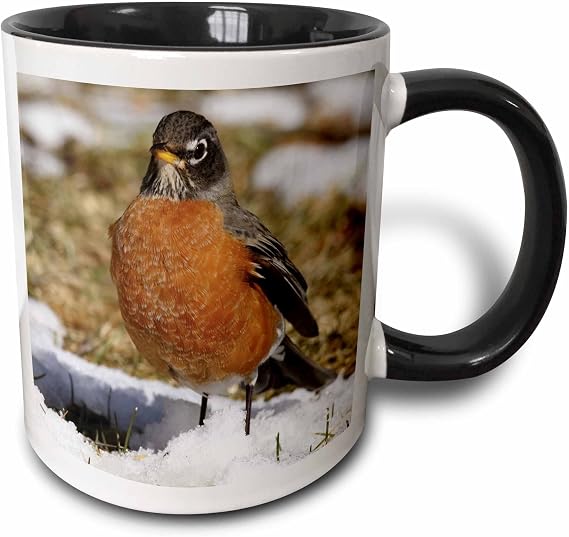 3dRose 116915_4 Mug, 11 oz, Black/White