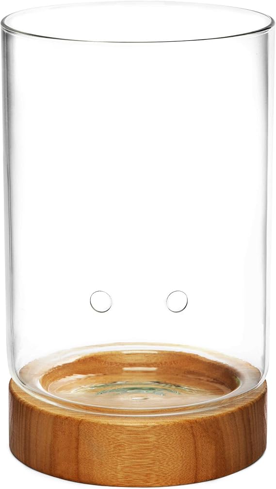 Pot & Pebble Glass Indoor Planter with Wooden Base & Water Level Control: Transparent for Root Visibility (Suitable for Semi-Hydroponic or General Use) Easier Plant Care, Less Watering & More Growth!