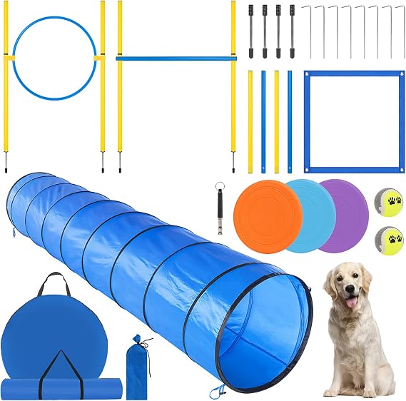 Small Dogs Agility Training Equipment  with a Storage Bag