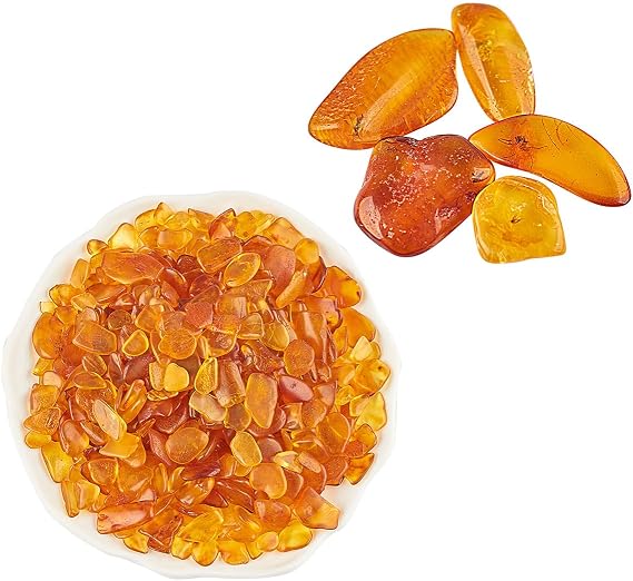 Baltic Amber Natural Fossil Insects,Insects from Millions of Years ago,True Insect Samples-Science Classroom Science Education Animal Specimens (100g Amber, 5 Pieces with Fossil Insects)