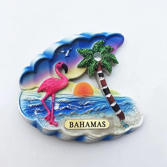 Flamingo Bahamas Magnet Travel Souvenir 3D Resin Collection Gift Fridge Refrigerator Magnet
