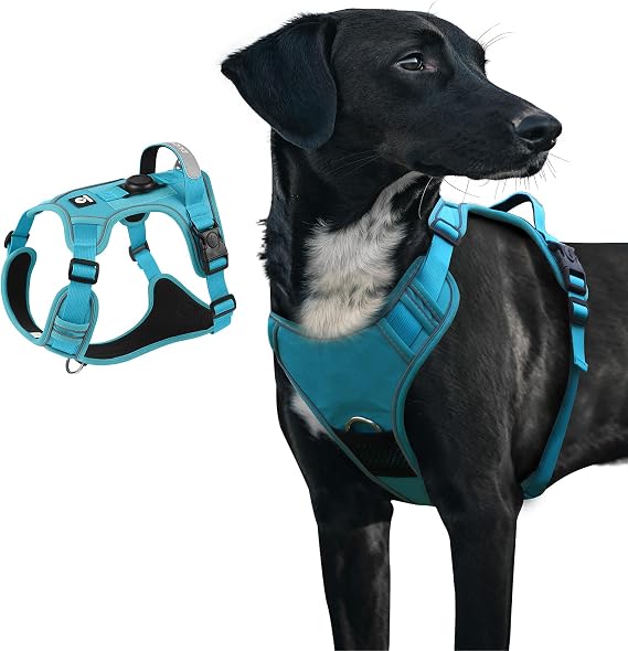 Dog Harness, Upgraded Escape Proof Adjustable Vest Puppy Outdoor Walking, Soft Breathable Jacket with Reflective Strips for Dark Night 559 (Blue, L)