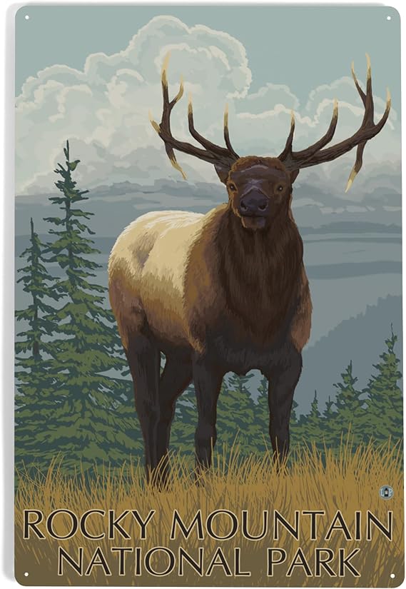 Lantern Press Rocky Mountain National Park, Colorado, Elk, Painterly, 12x18 Inch Aluminum Sign, Indoor or Outdoor Use