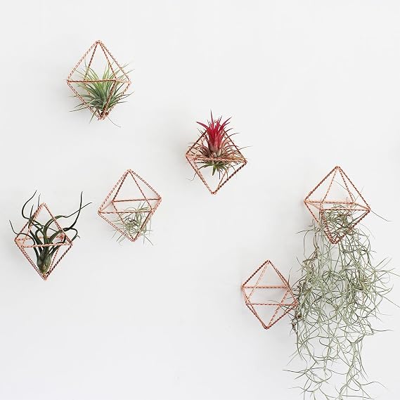 6 Pack Rose Gold Metal Air Plant Holders - 2.36" Geometric Himmeli Decor, Pink Twisted Iron Wire Tillandsia Stands, Tabletop Display Hangers for Air Ferns, Home Office Gift Set