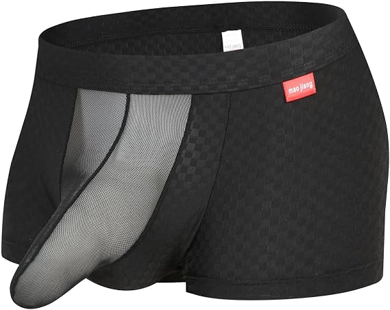 Sexy Underwear for Men Breathable Mesh See Through Boxer Briefs Elephant Nose Pouch Panties