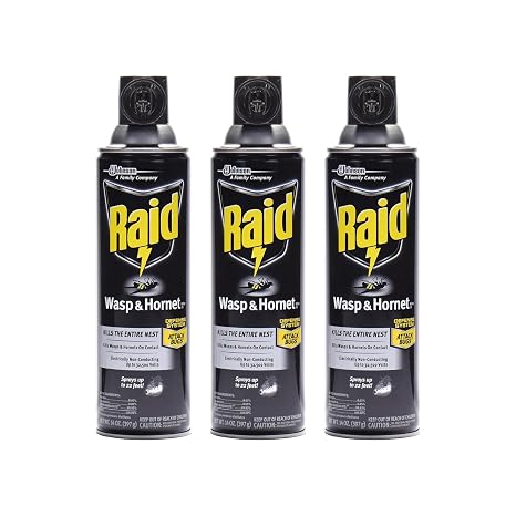 Raid Wasp and Hornet Killer Spray, 14 oz(pack of 3)