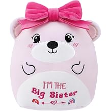 Big Sister Bear Stuffed Animals: 10 Inch Cute Teddy Bear Plush Toy with Pink Bow and Embroidery, Sweet Gift for Older Sibling, New Big Sister Announcement