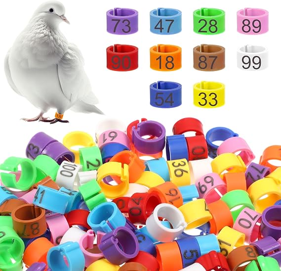 100 Pcs 8mm Birds Leg Rings, Colorful Readable Numbered Pigeons Quail Chick Identification Leg Bands Clip on Leg Rings for Baby Chick Bantam Finch Dove Small Birds