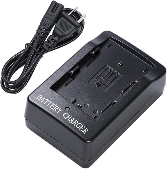 MH-18/MH-18a/MH-19 Camera Battery Charger for EN-EL3/EN-EL3a/EN-EL3e Battery Compatible with Nikon D90 D300 D300s D700 D200 D80 D70 D70s D50 D100 D100LS Camera