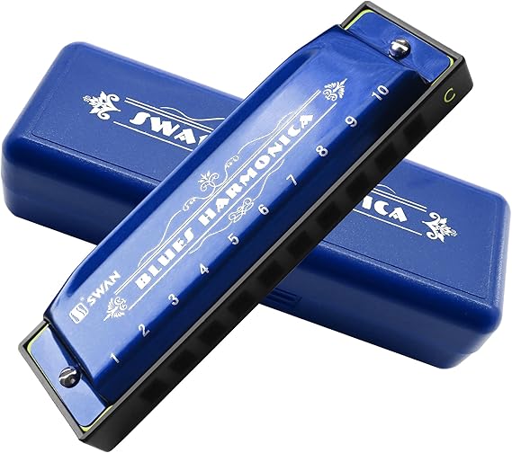 Blues Harmonica Mouthorgan 10 Holes Armonica Diatonic Harp Key of C Mouth Organ Metal Woodwind Professional Music Instrument Gift