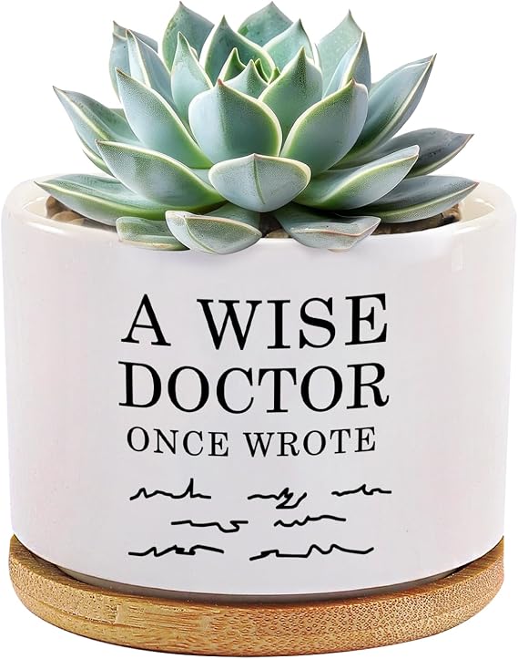 A Wise Doctor Once Wrote Ceramic Succulent Plant Pot with Tray Doctor Gifts Home Office Decor Indoor Plant Dr Graduation Gift 3.5 Inch White (No Plants) (with Bamboo Tray)