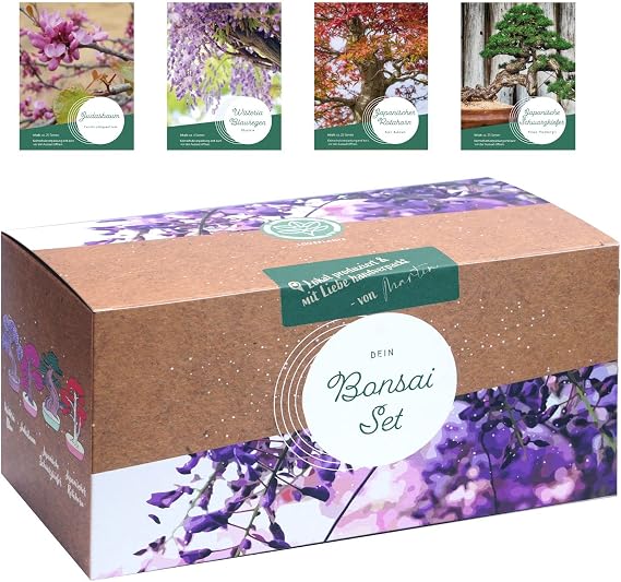 Bonsai Starter Kit - 4 Unusual Bonsai Seeds for Your Own Bonsai Tree Project. Sustainable & Plastic-Free Bonsai Growing Set - Unique Gift for Women and Men Bonsai Set