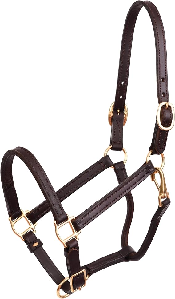 Perri's 3/4-Inch Premium Leather Show Halter