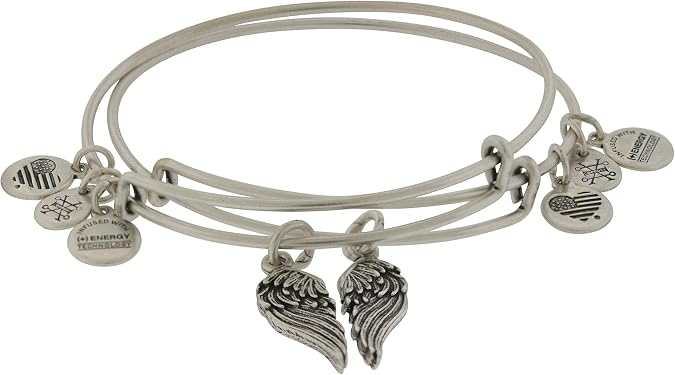 Alex and Ani Womens Wings Set of 2