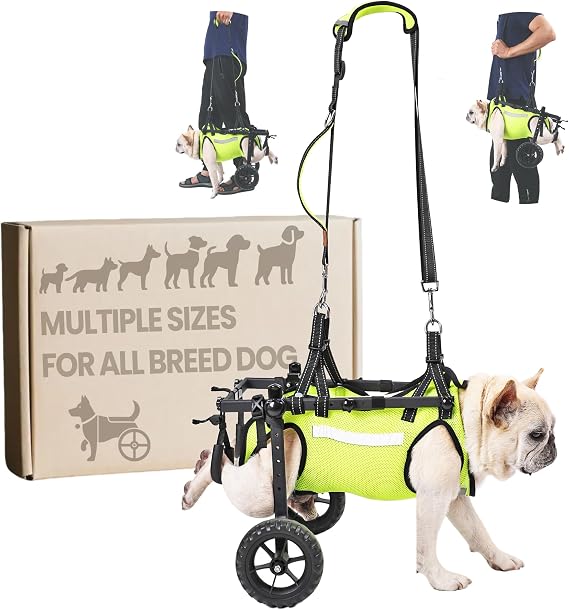 Adjustable Dog Wheelchair for Back Legs, for All Breed Dog - Includes High-Visibility Vest, Leash & Sling Lift, Lightweight Pet Wheelchair for Disabled Hind Legs (Medium, for Small Breed Dog)