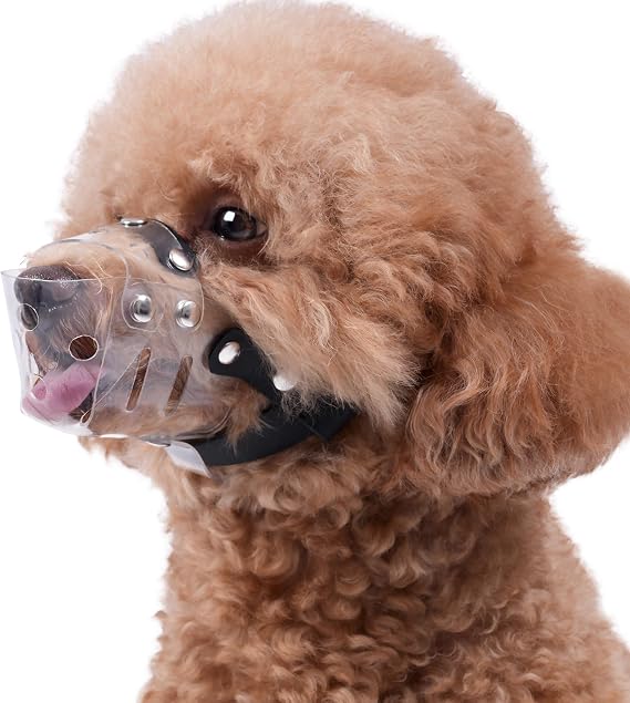 Mayerzon Dog Muzzle, Basket Muzzle for Small Medium Dogs Poodle Dachshund Corgi, Clear Puppy Mouth Cover for Grooming Vet Visits to Prevent Biting Chewing Scavenging, Allow Panting Drinking