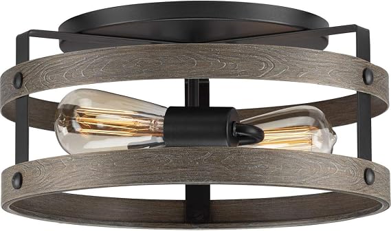Progress Lighting Gulliver 14.37" 2-Light Flush Mount Light, Graphite
