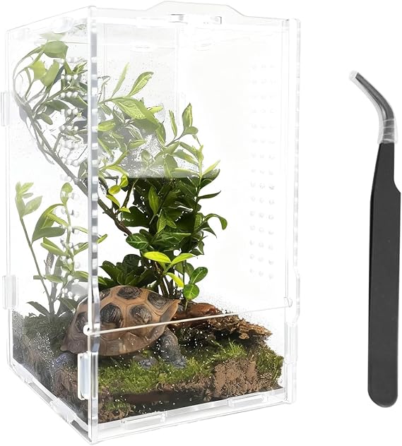 Reptile Terrarium Kit Vivarium Jumping Spider Enclosure Box 20 x 12 x 12cm Acrylic Transparent Stick Insect Enclosure for Tarantula Enclosure Lizard Mantis Gecko Tank Turtle Tank Nakes Frog