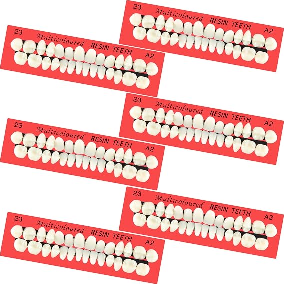 Bbto 6 Sets Resin Acrylic Teeth Human for Denture Replacement 112 Pcs 23 A2