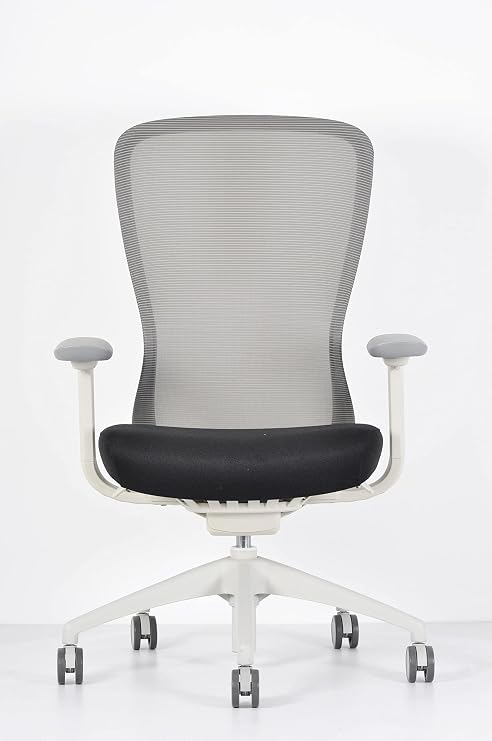 Ergohuman Exchange -White Frame