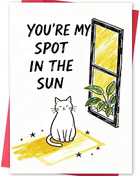 Cute Cat Valentines Day Card Gift,Lovely Anniversary Card for Boyfriend or Husband, Wife or Girlfriend,'You're My Spot In The Sun'