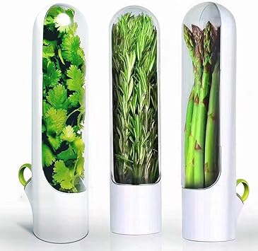 Keeper Storage Container, Fresh Preserver for Mint, Parsley, Asparagus & Cilantro