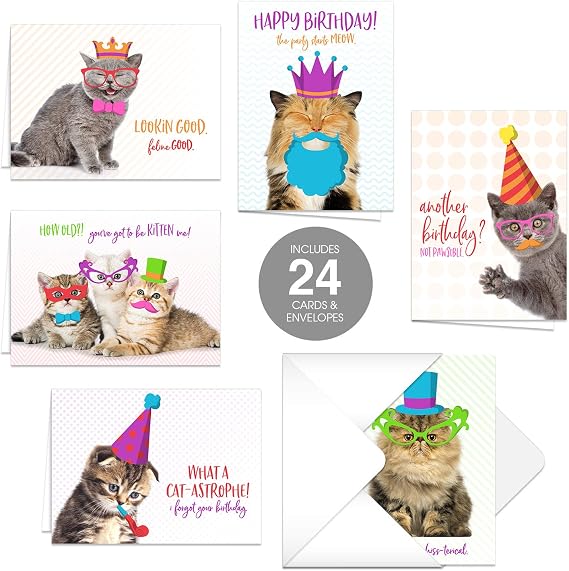 Canopy Street Funny Cat Pun Birthday Card Pack / 24 Pet Kitten Birthday Cards With White Envelopes / 3 1/2" x 4 7/8" Cats Birthday Note Cards / 6 Hilarious Cute Kitty Birthday Greeting Card Designs