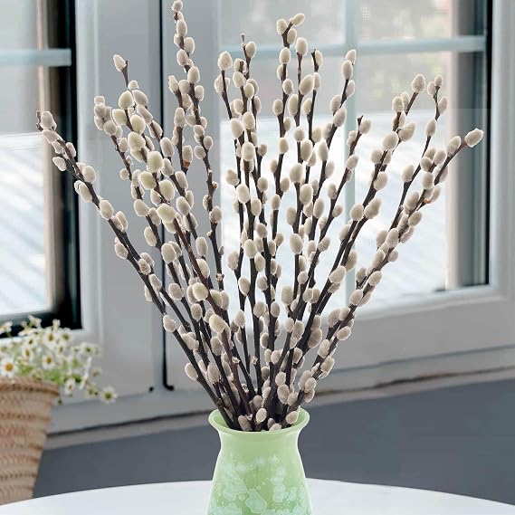 Oning 20 Stems Real Dried Pussywillow Preserved Greenery Branches for Vase | Natural Pussywillows with White Flowers, Snow Willow Branches for Easter Wedding Home Party Hotel Fireplace Yard Decor