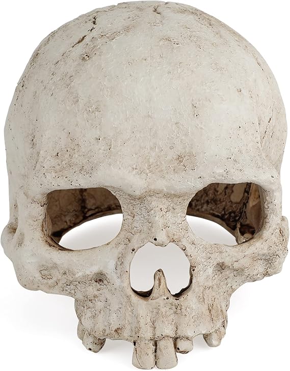 Uniclife Aquarium Skull Reptile House Decor Resin Head Skeleton Ornament for Tank Landscape Decorative Hideout Cave Shelter for Small Fish Shrimp Snail Gecko Spider Lizard in 5-20 Gallon Fish Tank