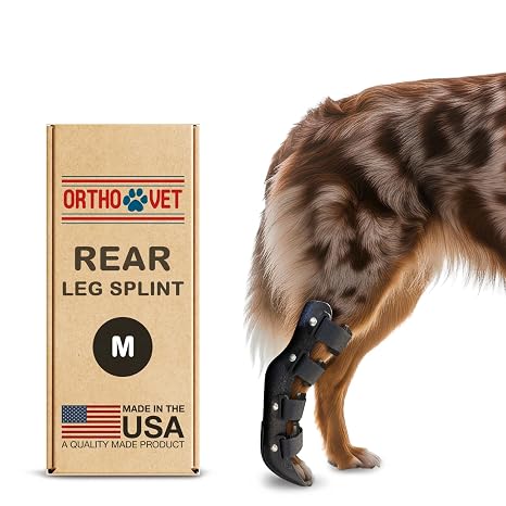 Standard Rear Splint for Dogs with Injuries, Arthritis, Fractures or Sprains, Durable & Lightweight Rear Splints for Rehability Treatment & Post-Surgery Protection for Pets - M