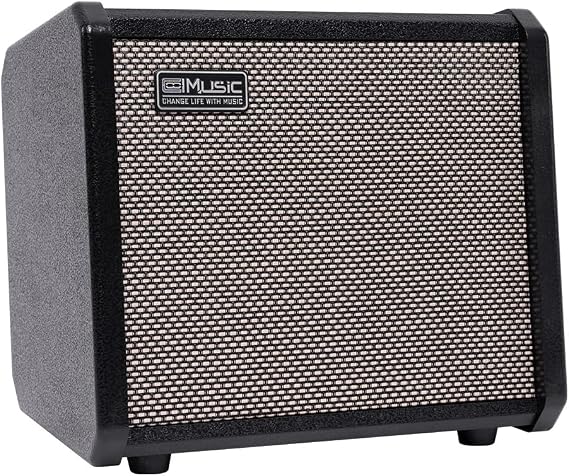 TS20 20W Bass Combo Amp - Black, Suitable for Bass Guitar, 6.5 Inch Speaker, Overdrive Circuit, Mid-Scoop Contour Switch