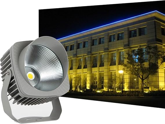COBビームスポットライト、屋外建物外壁プロジェクターライト、ナロービームスポットライト、屋外建物照明用LED噴水照明Blue Light,20w220v