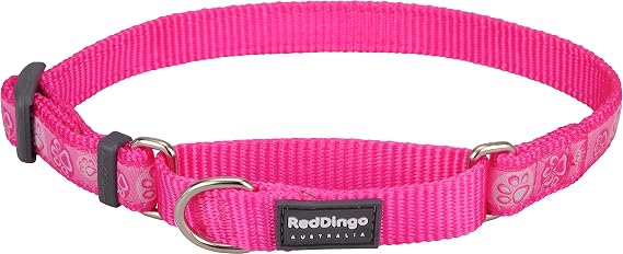 Red Dingo Martingale Paw Impressions Collar, Small, Hot Pink