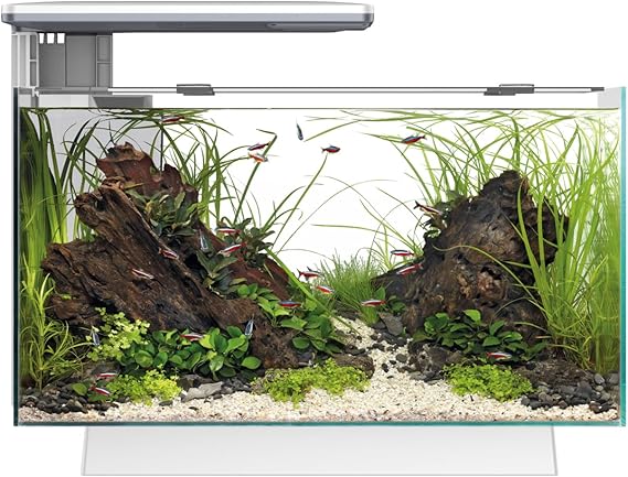 Superfish Quadro 40 Pro LED White 28 Litre Aquarium Fish Tank