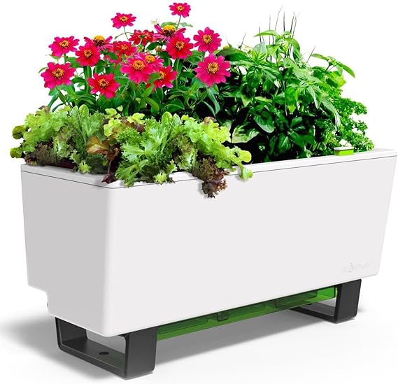 Self-Watering Mini Bench Planter - 23.6" in Pot, Free Standing, UV Stable, Scalable, Indoor | Outdoor Pot with Water Gauge, for Home Kitchen Windowsill Gardening