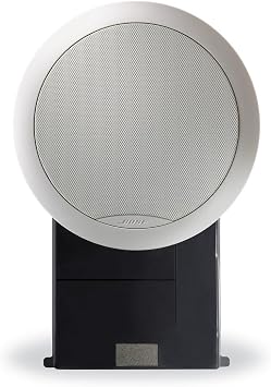 Bose Virtually Invisible 191 Speakers