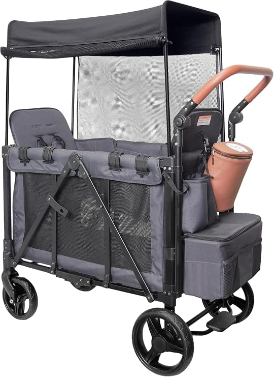 Double Stroller Wagon for 2 Kids - Foldable All-Terrain Wagon with Canopy, 5-Point Harness & Parent Organizer | Insulated Snack Pack, Adjustable Handle | Lightweight & Durable (Grey)