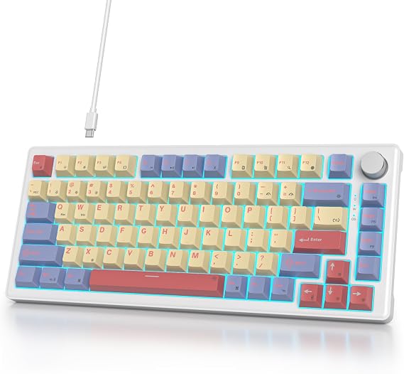 75% keyboard with Knob, Custom Wired Mechanical Gaming Keyboard TKL 75 Percent, Gasket Creamy Keyboard RGB Backlit, American QWERTY, Pre-lubed Switch for Mac/Win V500 Cotton Candy