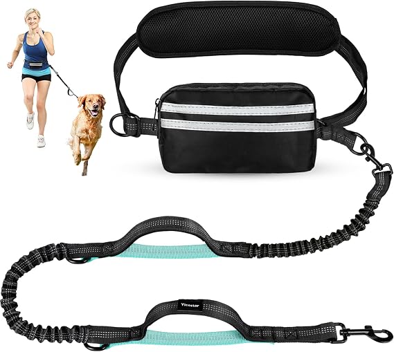 Hands Free Dog Leash with Pouch, Olive
