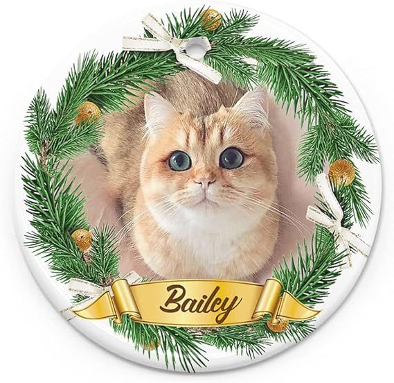 Personalized Cat Ornaments for Christmas Ceramic - Your Cat's Name,Photo on a Custom Cat Christmas Ornament, for a Cat Lover, Cat Memorial Christmas Ornament - Fur Mom Dad Gifts for Cat Lover