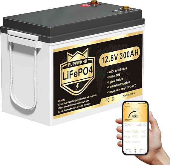 12V 300Ah Lithium LiFePO4 Battery, 200A BMS Rechargeable Lithium Iron Phosphate Battery, Up to 15000 Cycles, 3840Wh-Higher Energy Density, Perfect for Solar Energy Storage, Backup Power, RV, Camping